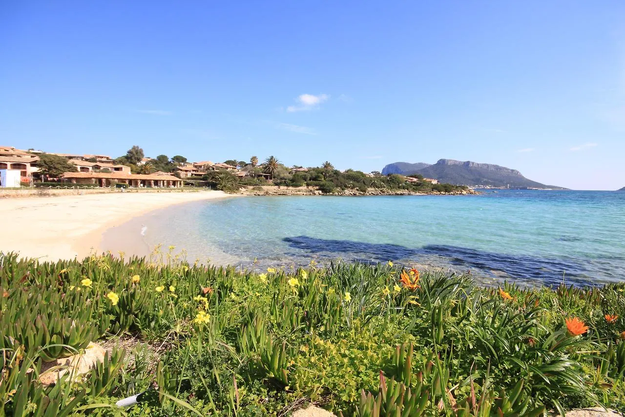 Apartment In S'Abba E Sa Pedra With Pool Golfo Aranci 0*,  Italy